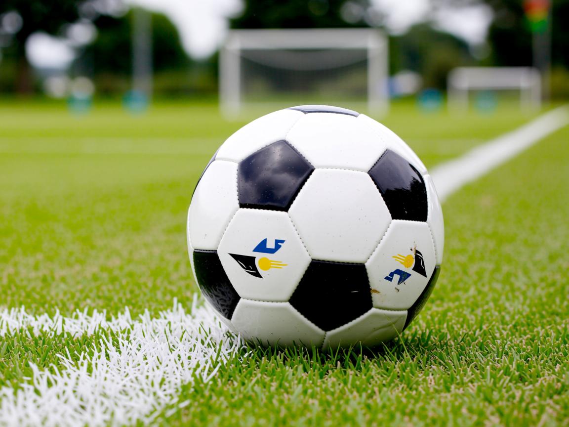 平博体育官网-亚冠焦点赛事观众期待值飙升，亚冠解析  第3张