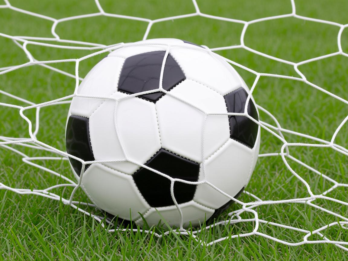 平博体育入口-波兰队在国际乒联混合团体世界杯中的亮点：个人与团队配合，波兰队阵型  第2张